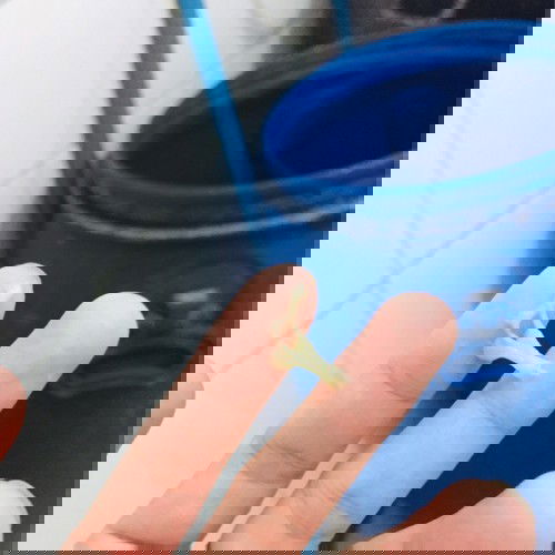 สอบถามแม่ๆ มูกหรือตกขาว