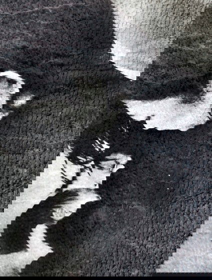 Menyusui tidak sepenuhnya NATURAL!