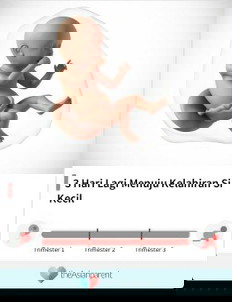 Hpl bidan 15 agustus Hpl dokter 17 agustus