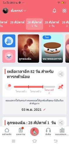 ทีมพฤศจิกายน