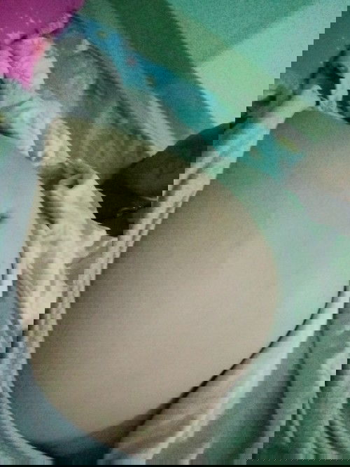 ท้อง6เดือน