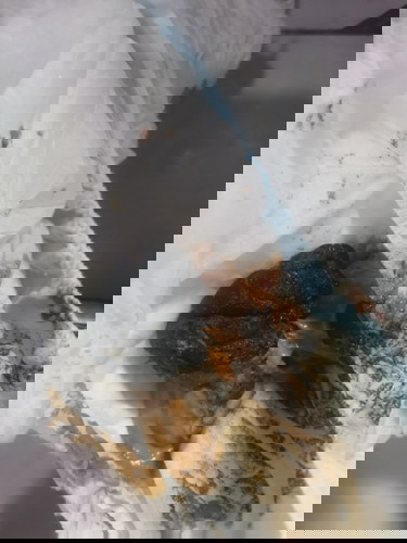 Worried mommy here!!!