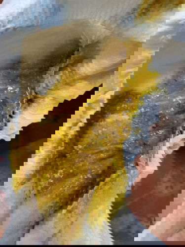 อึสีออกเขียวแบบนี้ปกติมั้ยคะ