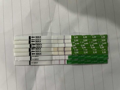 ทดสอบไข่ตกก่อนถึงรอบ ปจด. มา