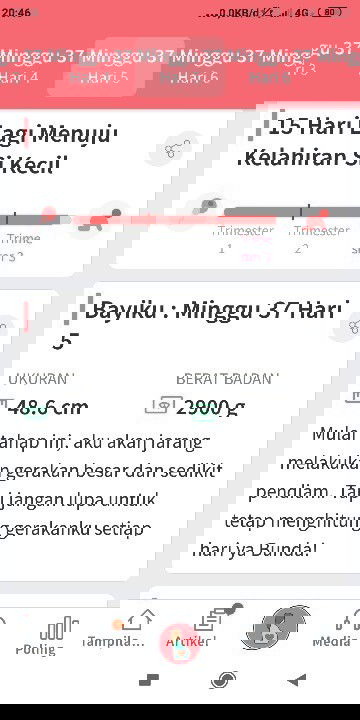 Menunggu launching baby