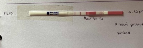 Result OPK
