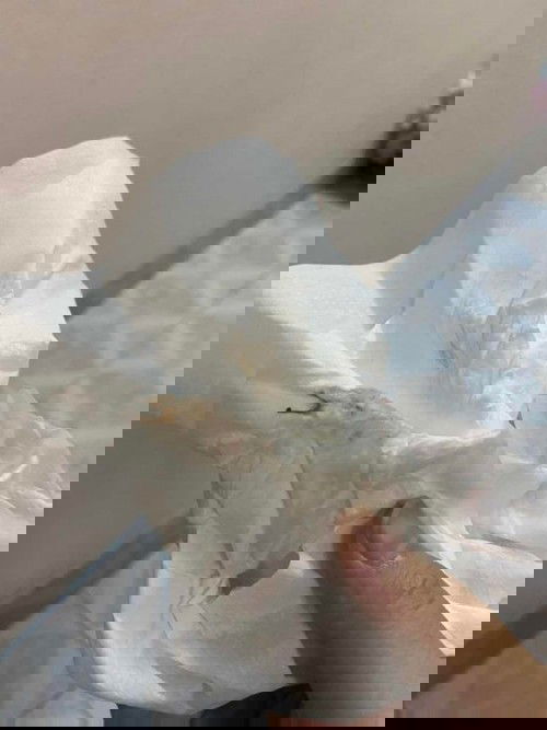 สอบถามหน่อยค่ะแบบนี้อันตรายมากไหมคะ