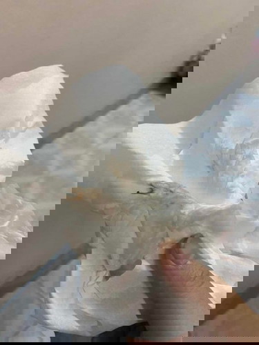 สอบถามหน่อยค่ะแบบนี้อันตรายมากไหมคะ