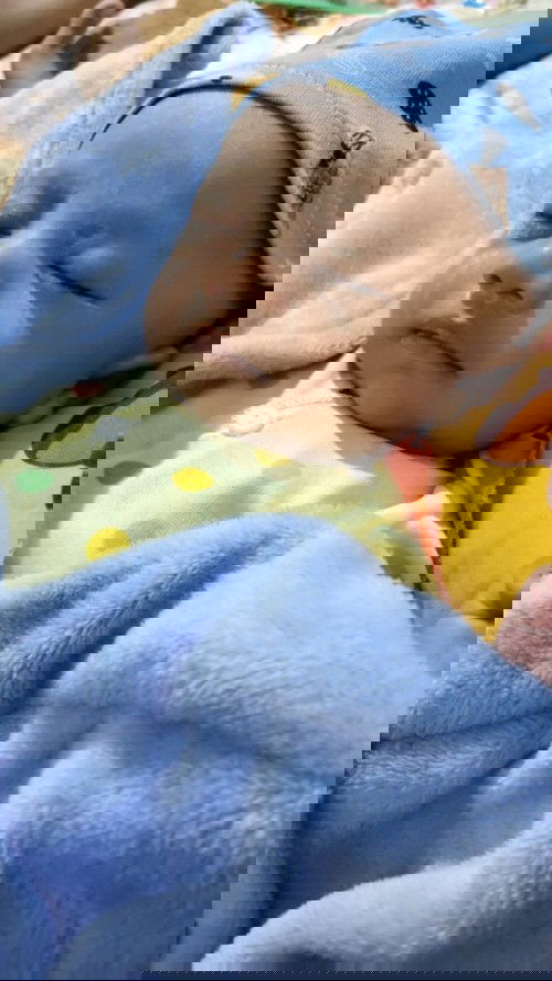 Bayi 1 month udah demam