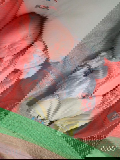 Cháu Chi đây các cô chú ơi 😅😅