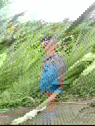 Cucu pertama