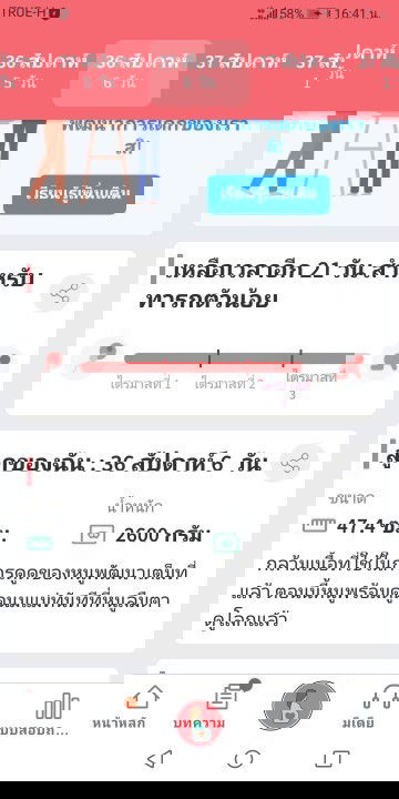 36สัปดาห์​