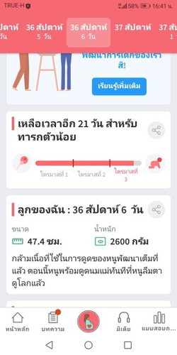 36สัปดาห์
