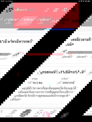 ขอวิธีกระตุ้นแบบธรรมชาติหน่อยค่ะ น้องยังไม่ยอมออกสักที 23นี้ท่ายังไม่ออกลุงหมอจะกระตุ้นให้คุณแม่แอบกลัว ใครมีวิธีบอกหน่อยน้า😂