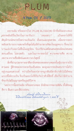 32w+2 ทราบเพศซักที🎊🎊