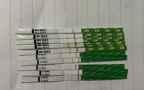 ทดสอบวันไข่ตก