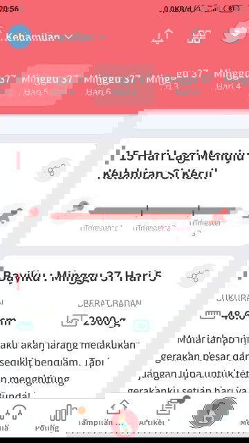 MENANTI GELOMBANG CINTA