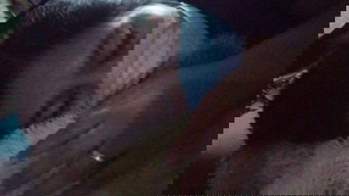 Obat sakit gigi yg aman untuk bumil