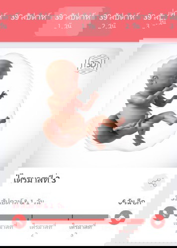 ทีมสิงหาคม🥰