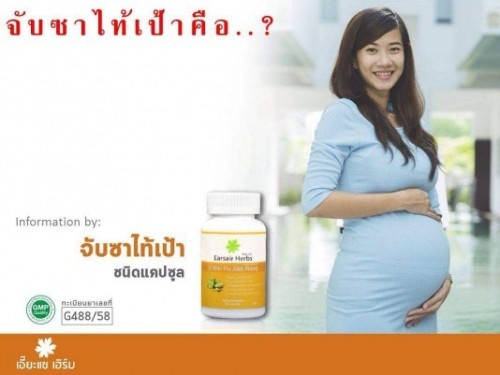 ใครเคยทานจับซาบ้างคะ