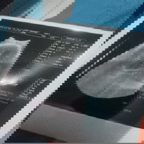 Menanti gelombang cinta