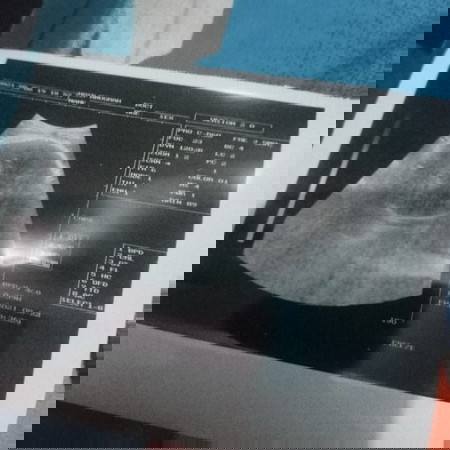 Menanti gelombang cinta