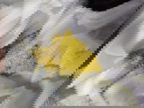 Baby 1 bulan susah nk mambuang air besar.