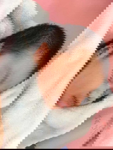 แตกแล้วจ้าเด็กเดือนสิงหา