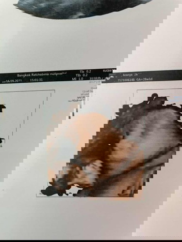 ทีมพฤศจิกายนค่ะ