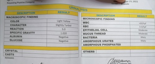 Urinalysis | turning 2 yrs old