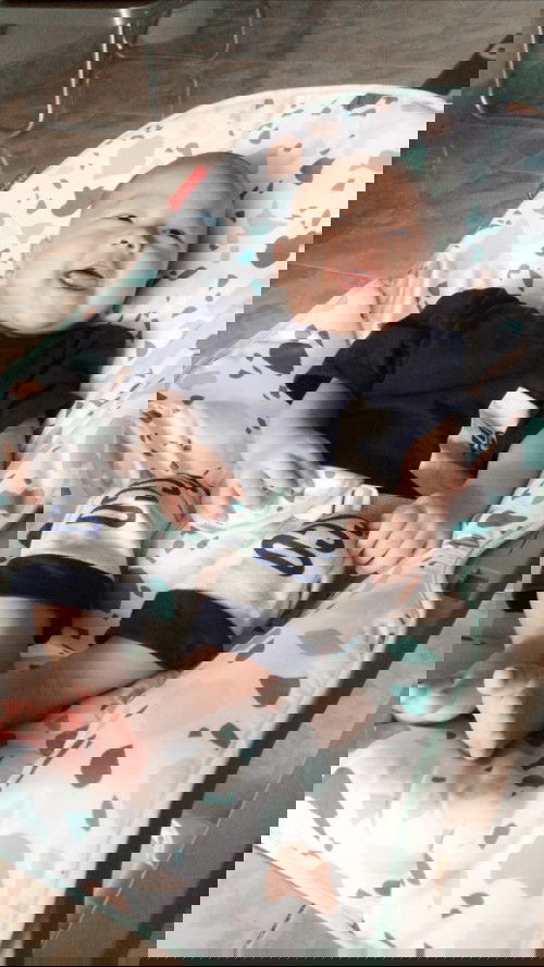 Minyak kemiri yang bagus