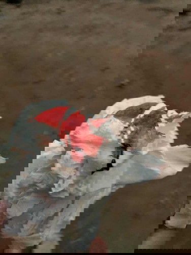 ขอถามแม่ๆหน่อยค่ะเคยมีอาการแบบนี้ไหม?