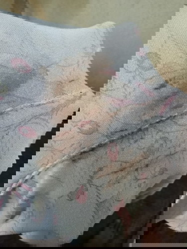 มีเลือดสีน้ำตาล