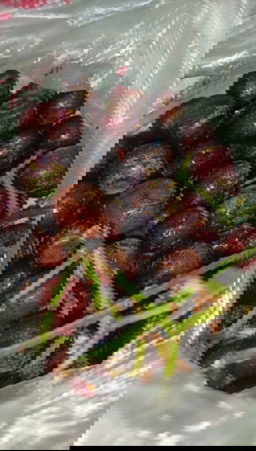 Buah gomok atau kupa