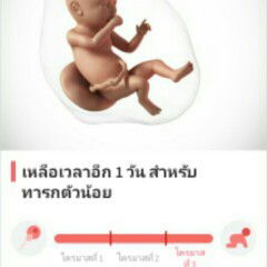 ใกล้ถึงวันครบกำหนดแล้วแต่ทำไมหนูน้อยยังเงียบอยู่เลยยังไม่มีอาการใดๆเตือนเลยจ้าแม่ๆบ้านไหนเป็นบ้างคะ