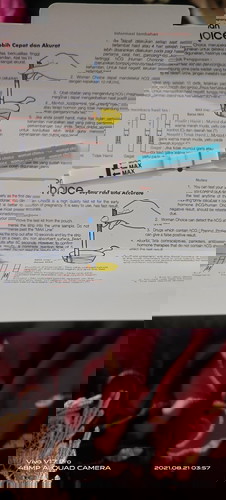 Hasil testpack positif