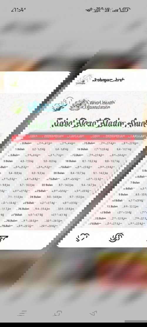 berat badan anak