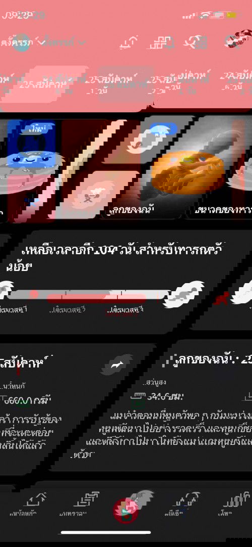 ทีมธันวาคมค่ะ