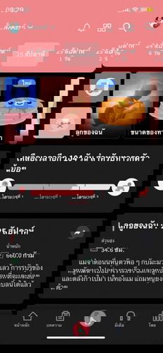 ทีมธันวาคมค่ะ