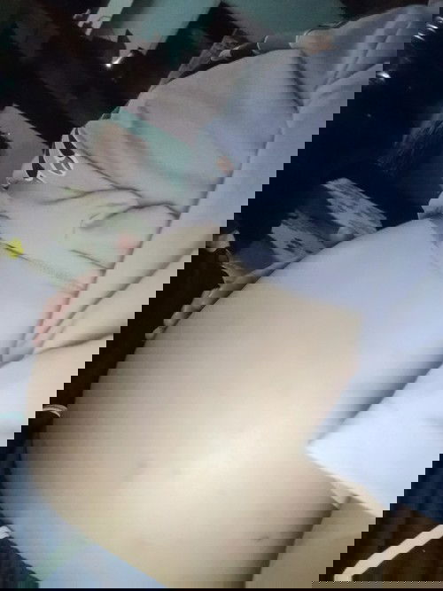 ทีมพฤษจิกายน