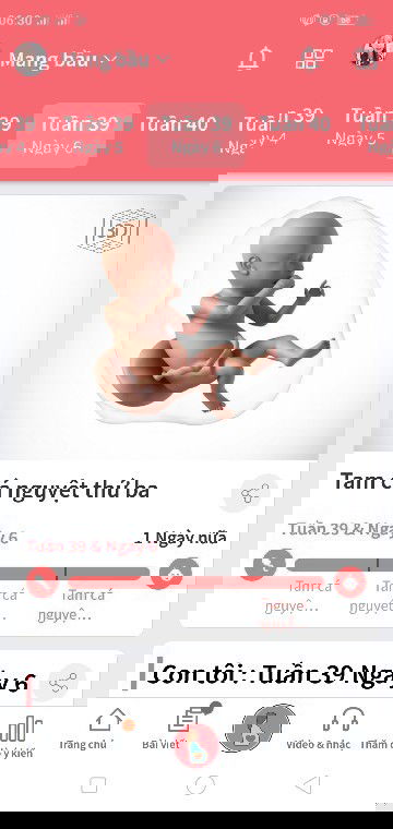 E đau từ 3h sáng tới h k thể ngủ đc, cứ 5 phút lại đau, như vậy là dấu hiệu gì vậy mn