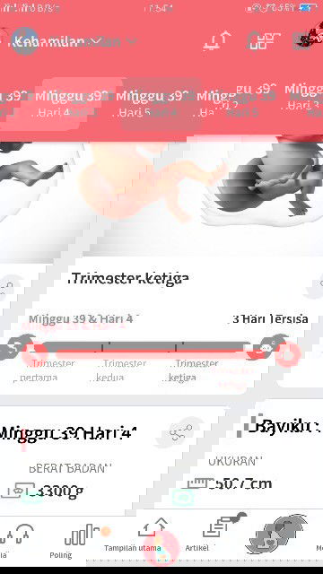 Mohob doa nya ya bunda