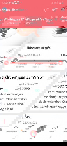 Dilema galau