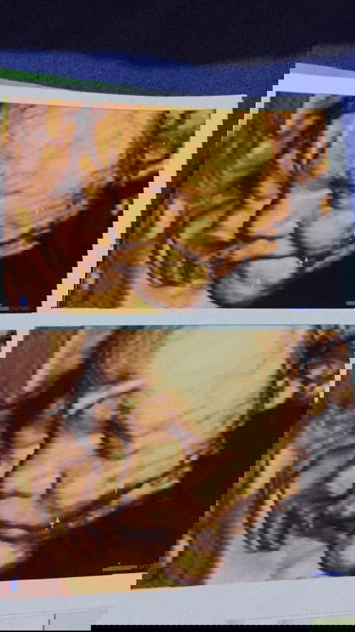 sungsang usia 33week