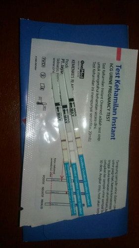 Di kehamilan usia 6 mingguan apakah boleh hubungan intim dengan suami? Berbahayakah buat janin?
