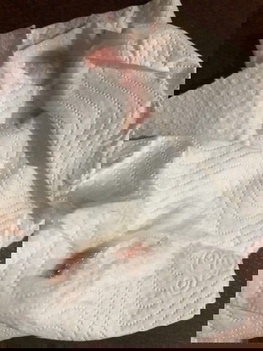 มูกเลือดมาแล้วหายไปเฉยเลย