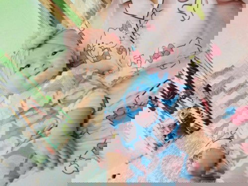 Buah naga tanpa saring