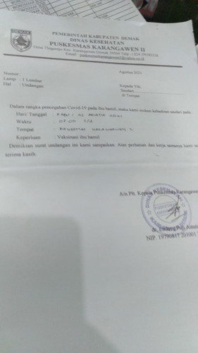 Ibu hamil vaksin