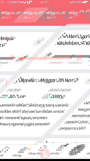 Bismilahirrahmanirrahim