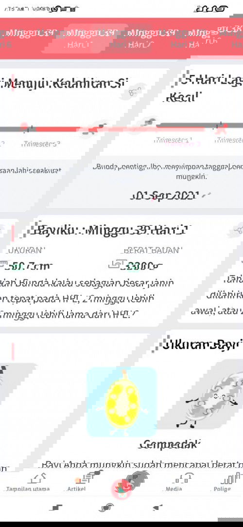 Menantikan gelombang cinta